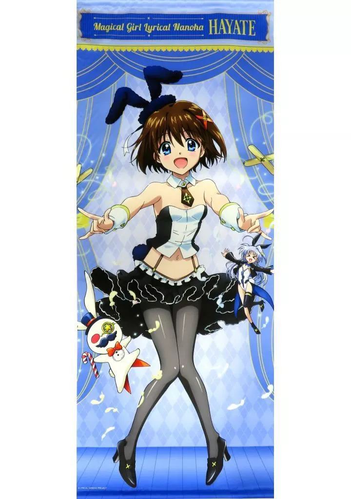 タペストリー　八神はやて 描き下ろし等身大タペストリー マジカルバニーver. 「魔法少女リリカルなのはシリーズ×ドン・キホーテ」
