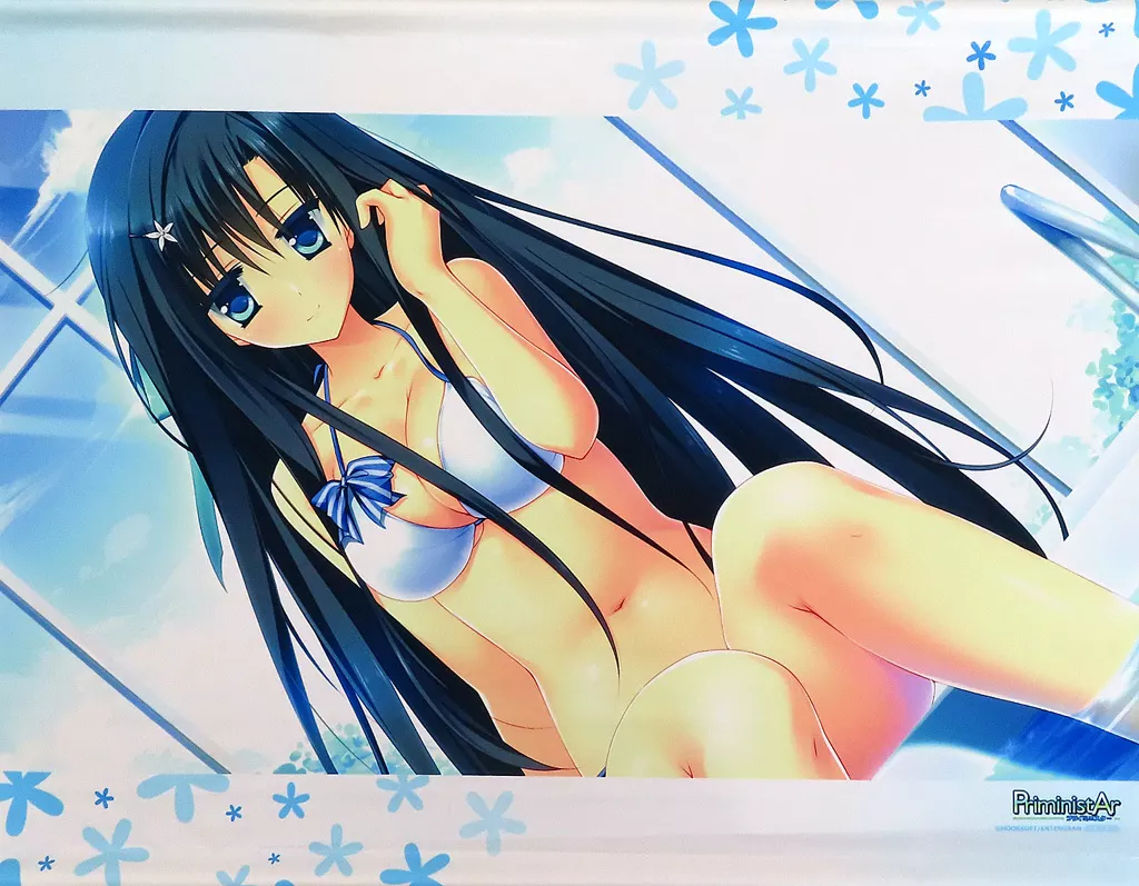 継花三澄 B2 「PS4/Switchソフト PriministAr -プライミニスター-」 メロンブックス購入特典