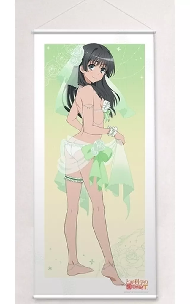 駿河屋 -<中古>佐天涙子(ウエディング水着) 描き下ろし特大 