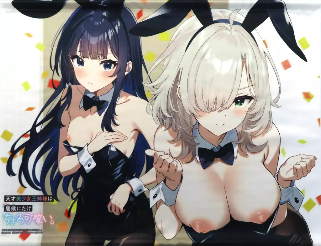 塩かずのこイラスト オリジナルB2 「ライトノベル 天才美少女三姉妹は居候にだけちょろ可愛い。 ゲーマーズ限定版」 同梱特典_image