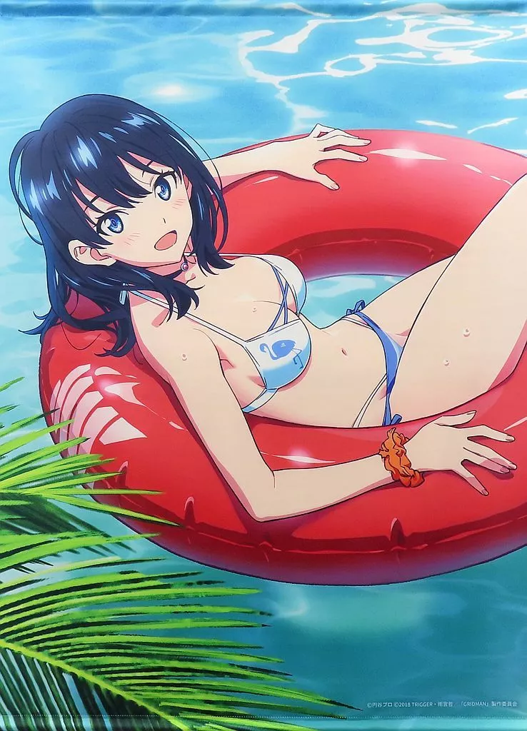 駿河屋 -<中古>宝多六花 等身大タペストリー 「DMMスクラッチ! TV