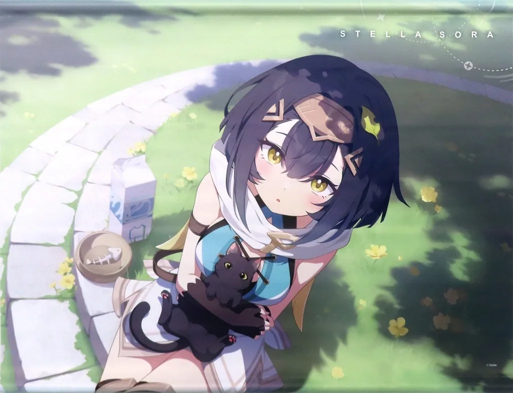 003:コハク 「ステラソラ」_image