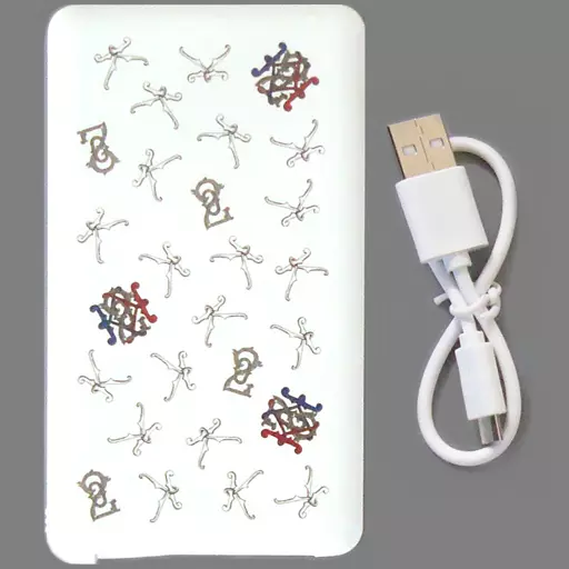 モバイル雑貨　KinKi Kids モバイルバッテリー KinKi Kids 20th Anniversary キャンペーン 15Point 当選品