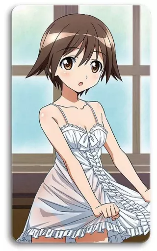 ストライクウィッチーズ 描き下ろしカーテン（宮藤芳佳＆リネット