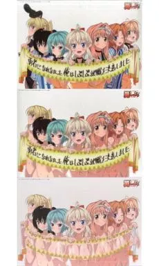 駿河屋 -【アダルト】<中古>めくれるA3ポートレート ヒロイン達