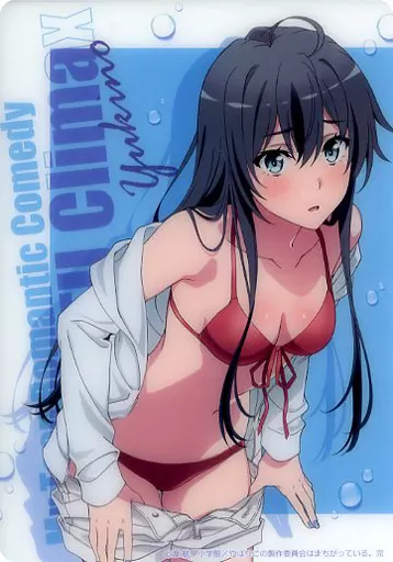 駿河屋 -<中古>雪ノ下雪乃/上半身 ブラインドコレクションシート
