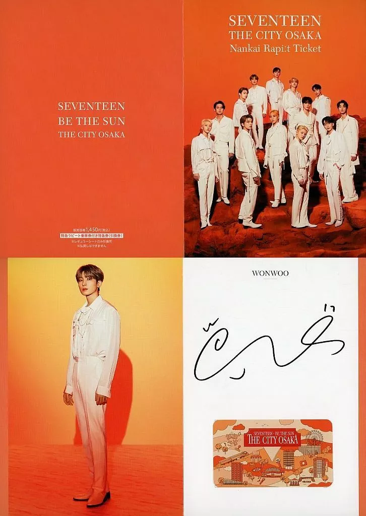 駿河屋 -<中古>[未使用] ウォヌ SEVENTEEN BE THE SUN THE CITY Nankai