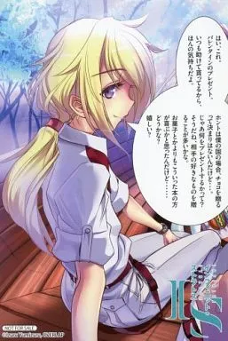 ポートレート シャルロット・デュノア 特典 IS インフィニットストラトス2 Blu-ray BOX アニメイト特典 アニメ描き