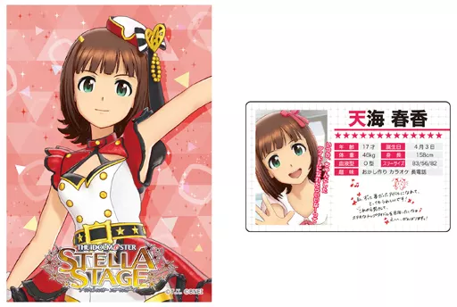 天海春香(765PRO ALLSTARS) アイドルプロフィールセット(ブロマイド＆カードセット) 「アイドルマスター」