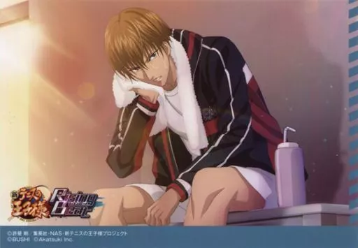 新テニスの王子様 テニプリ 庭球浪漫 アルカナカード 特典 手塚国光 新テニスの王子様 アルカナカードコレクション2 庭球浪漫