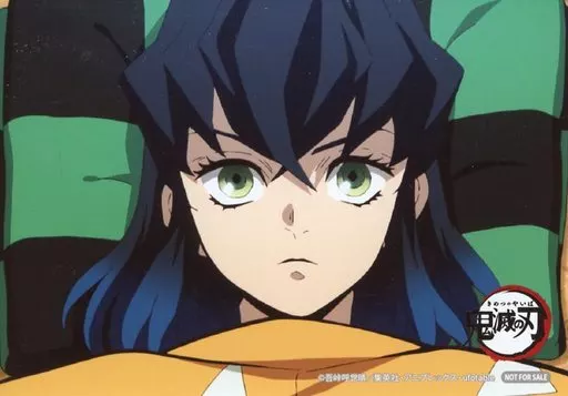 鬼滅の刃　藤色あみあみ商店街　購入特典　イラストカード　全15種セット 鬼滅の刃 藤色あみあみ商店街 購入特典 6枚セット - メルカリ