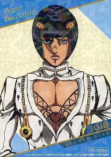 ブローノ・ブチャラティ ブロマイド 100枚 ジョジョ ブローノ・ブチャラティ ブロマイド 100枚 ジョジョ ブローノ