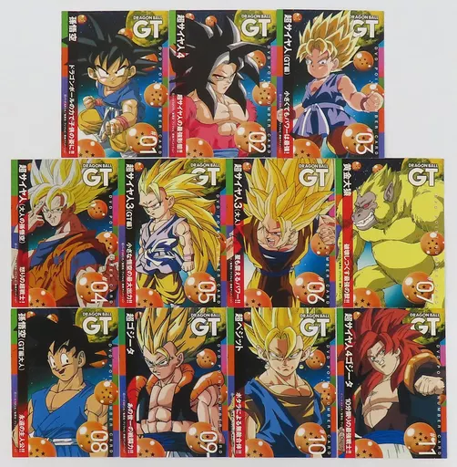 駿河屋 -<中古>ポイントナンバーカード11種コンプリートセット 「DVD