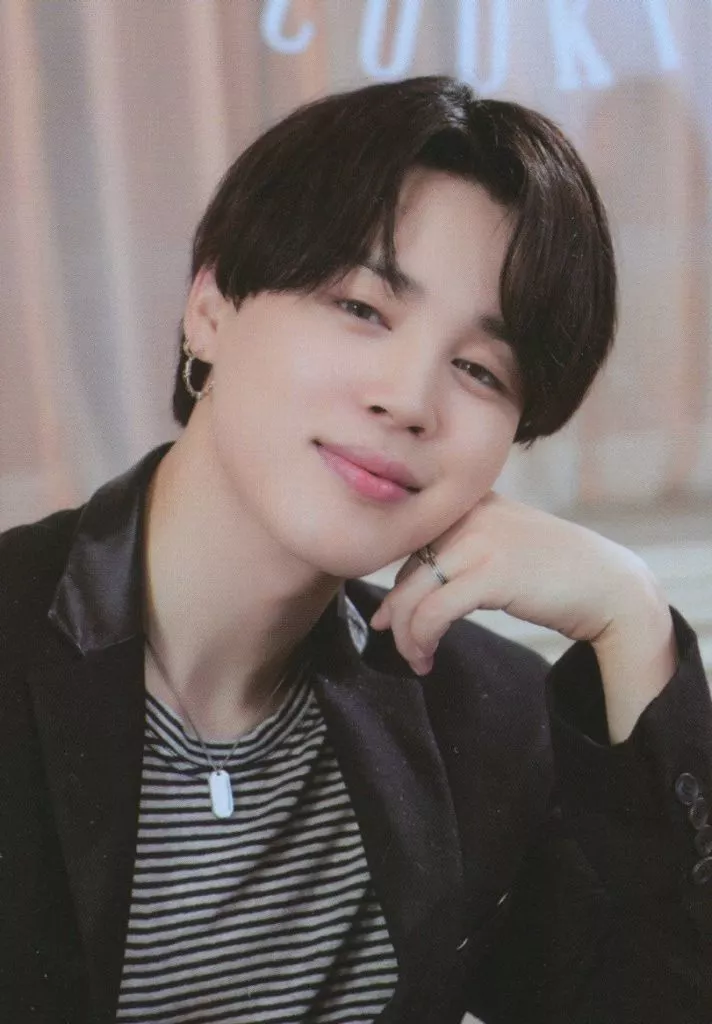 BTS JIMIN Lights Boy with Luv ARMY Japan LTD Official photo