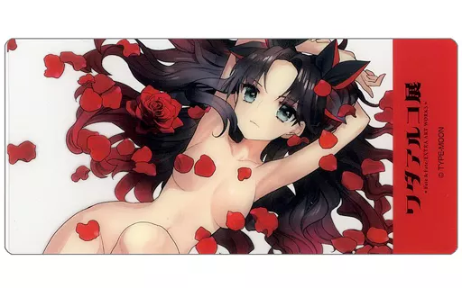 PSA 10 遠坂リン Chaos TCG Fate SEC Amazon.co.jp: Fate/stay night “evening dress” 遠坂凛 箔押し サイン