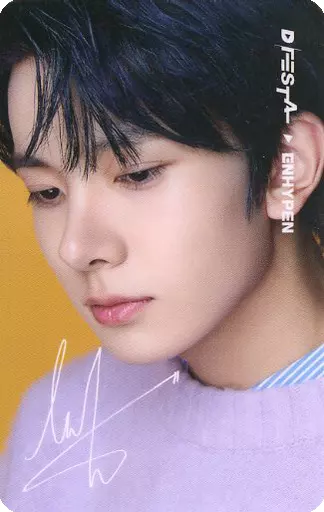 駿河屋 -<中古>[単品] ヒスン(ENHYPEN) フォトカードチケット 「D