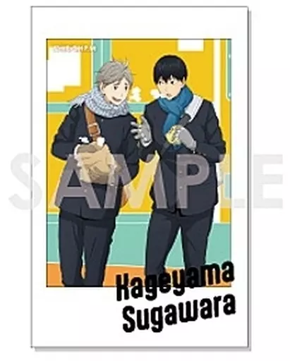 影山飛雄 菅原孝支 ハイキュー キャラナップコレクション第3弾 駿河屋 -<中古>影山飛雄＆菅原孝支 「ハイキュー!! キャラナップ