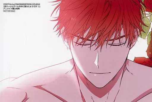 駿河屋 -<中古>ナドリカ イラストカード 「コミックス 逆ハーレム