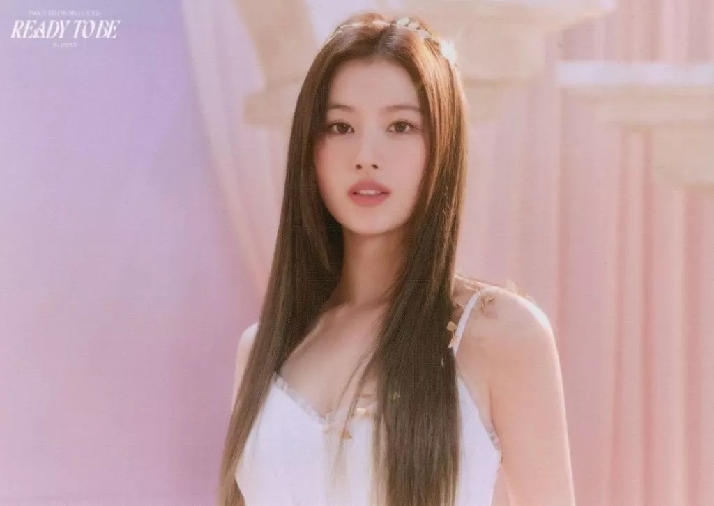 twiceサナ Amazon.co.jp: TWICE Eyes Wide Open サナ トレカ レトロ : おもちゃ