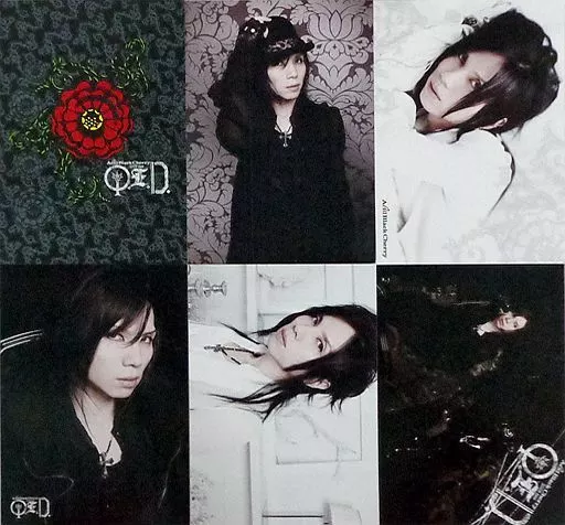 ミ*ヤ様 希少【Acid Black Cherry】Q.E.D.ポストカード Acid Black Cherry ポストカード QED - メルカリ