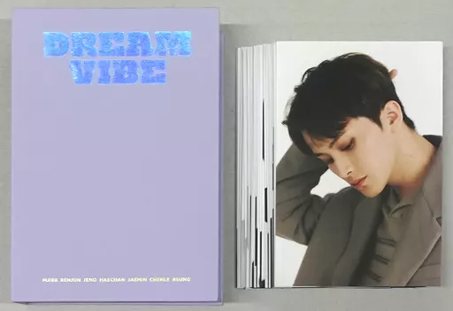 NCT DREAM VIBE ポストカード ブック 駿河屋 - 【買取】NCT DREAM ポストカードブック(28枚組) 「2022 NCT