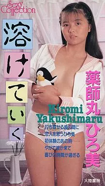 薬師丸ひろ美 / 溶けていく