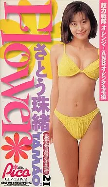 さとう珠緒 Flower ビデオCD Flower さとう珠緒 DVD - メルカリ