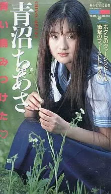 青沼ちあさ / 青い鳥みつけた