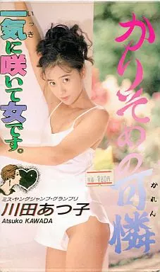 川田あつ子 / かりそめの可憐