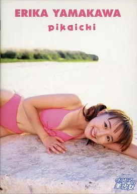 グラビアの美少女 山川恵里佳 pikaichi CRISPY DVD 2枚セット 駿河屋 -<中古>山川恵里佳 / グラビアの美少女 pikaichi（一般グラビア