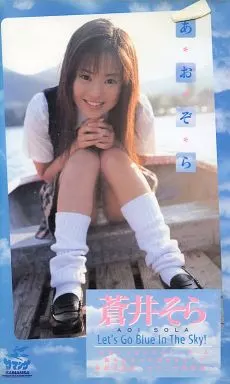 駿河屋 -【アダルト】<中古>蒼井 そら/あおぞら（グラビア）