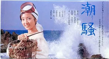 山口百恵　映画　VHS 山口百恵 主演映画 VHS 14本セット 三浦友和 バラ売り不可