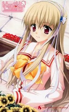 駿河屋 -【アダルト】<中古>前園・Clarissa・皐「HoneyComing -ハニー