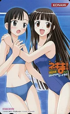 駿河屋 -<中古>桜咲刹那/近衛木乃香「魔法先生ネギま! 課外授業 乙女の
