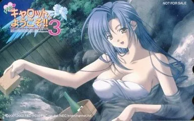 駿河屋 -【アダルト】<中古>木ノ下貴子「DC版 Piaキャロットへ