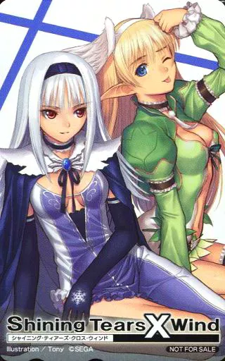ゲーム・PC系テレホンカード　ブランネージュ/エルウィン「Shining Tears X Wind(シャイニング・ティアーズ・クロス・ウィンド)」 DVD第4巻アンケートキャンペーン 抽プレ