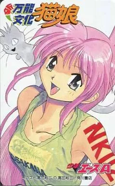 駿河屋 -<中古>夏目温子(ヌクヌク)「新万能文化猫娘/高田裕三」 少年