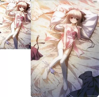 ゲーム・PC系テレホンカード　シオン「eden* [下敷き付き]」 メディオ!特典