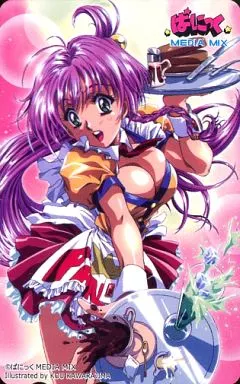 【単品】ぱにっく「ぱにっく MEDIA MIX/かわらじま晃」 デジキャラフェスティバル