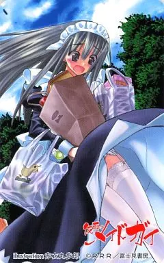 【中古】 仮面のメイドガイ ８ 限定版/富士見書房/赤衣丸歩郎 中古】 仮面のメイドガイ 8 (角川コミックス ドラゴンJr．) / 赤