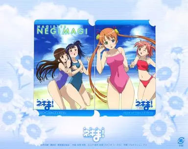 希少当時物！ 「魔法先生ネギま！」 シャーペン近衛木乃香　水着　アニメ 駿河屋 -<中古>(2枚組) 近衛木乃香/桜咲刹那「魔法先生ネギま! [台紙