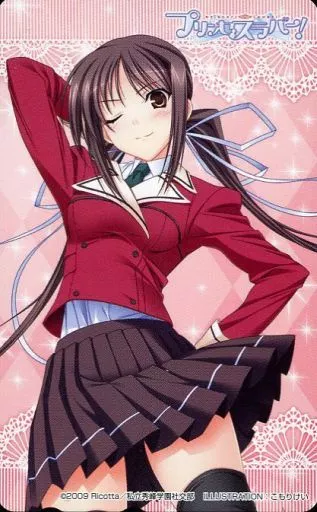 プリンセスラバー 鳳条院聖華 タペストリー 駿河屋 -<中古>【単品】 鳳条院聖華「プリンセスラバー!」 C80