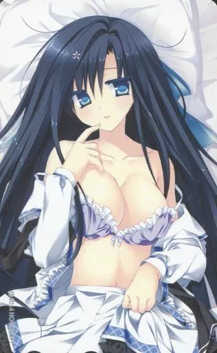 継花三澄「PriministAr -プライミニスター- テレカのみ」 抱き枕カバー特典