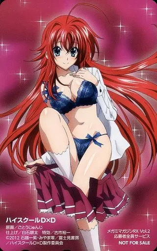 駿河屋 -<中古>リアス・グレモリー「ハイスクールD×D/ごとう