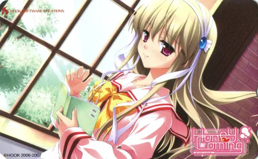 HoneyComing ハニーカミング ポスター B2 2000年代 Amazon.co.jp: Honey Coming -ハニーカミング- 初回版 : PCソフト