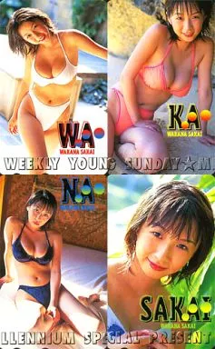 駿河屋 -<中古>(4枚組) 「酒井若菜」 週刊ヤングサンデー抽プレ