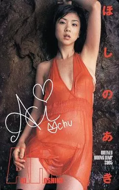週刊ヤングジャンプ　ほしのあき等身大ポスター　希少品 ほしのあき（等身大・水着・両面） ポスター 通販/販売 | ポスッタ