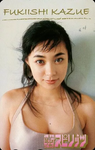 フッキーの夏休み DVD 吹石一恵 FUKISHI 吹石一恵 DVD（吹石一恵 | Maipedia Wiki | Fandom）