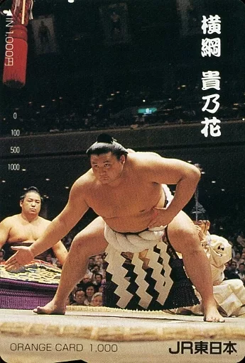 横綱 貴乃花 オレンジカード 横綱 貴乃花 オレンジカード 横綱 貴乃花 オレンジカード 横綱 貴乃花