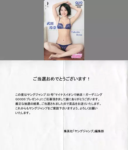 武田玲奈 週刊ヤングジャンプ 抽プレ クオカード500円 50名限定品